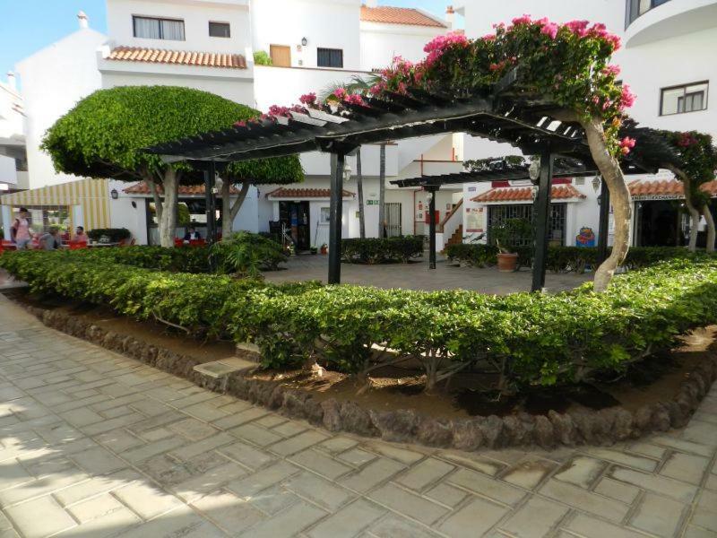 Apartment Cristian Sur Los Cristianos  Eksteriør bilde